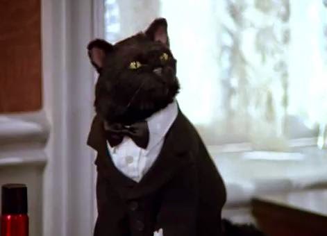 Salem-the-Cat-from-Sabrina-the-Teenage-Witch – Dr. Shaun Duke ...